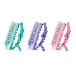[CX6196] Dúo de gancho y peines en colores surtidos